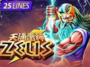 Zeus game cover