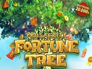 Prosperity Fortune Tree game cover